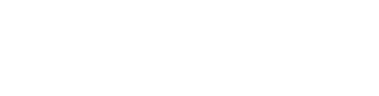 FisiOn